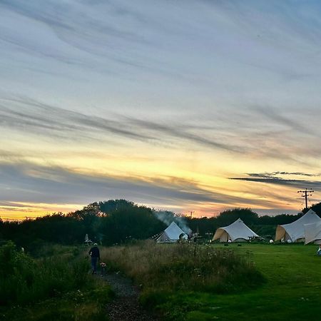 Lakeside Glamping Firecrest St Columb Major Eksteriør billede