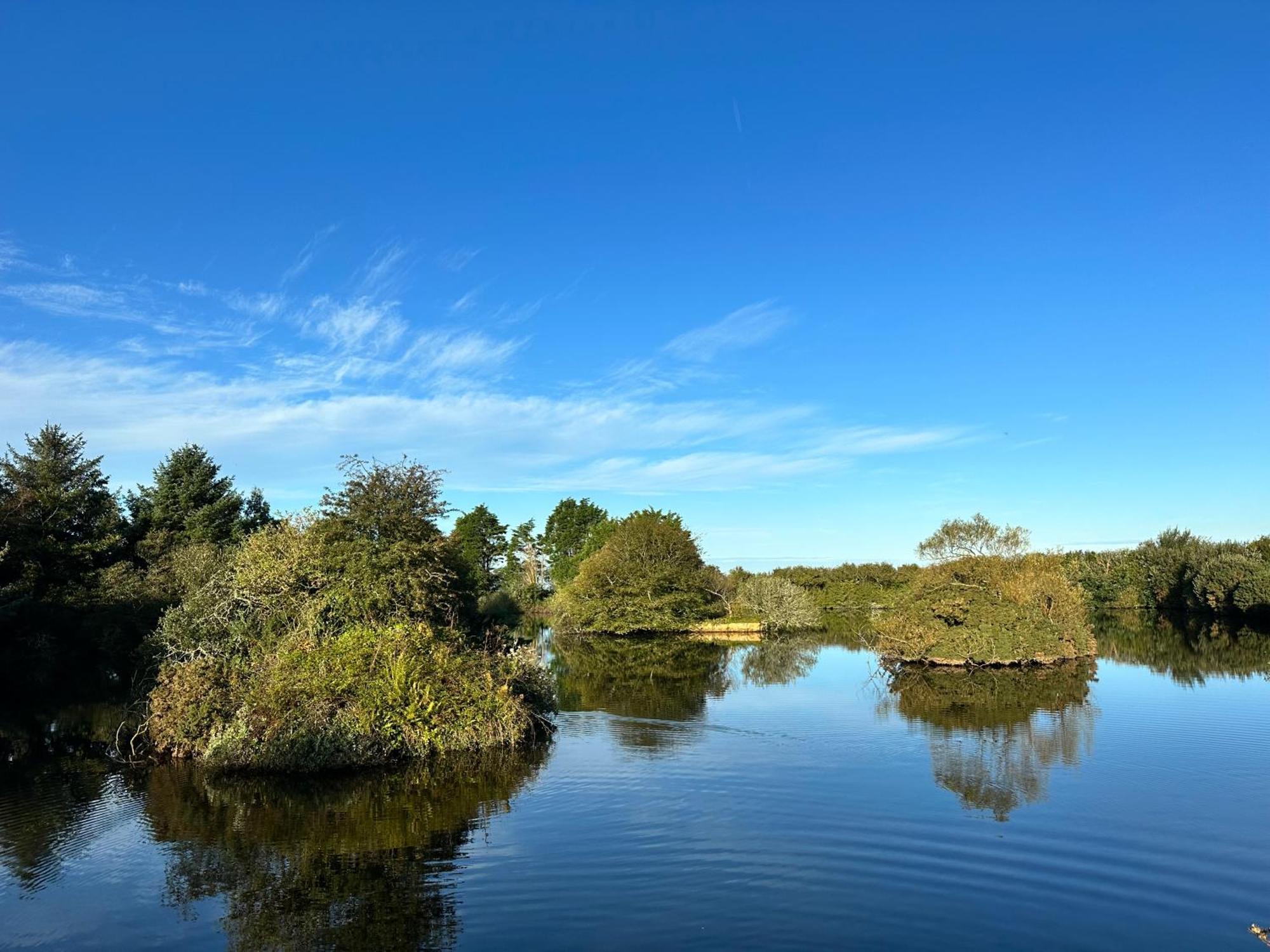 Lakeside Glamping Firecrest St Columb Major Eksteriør billede