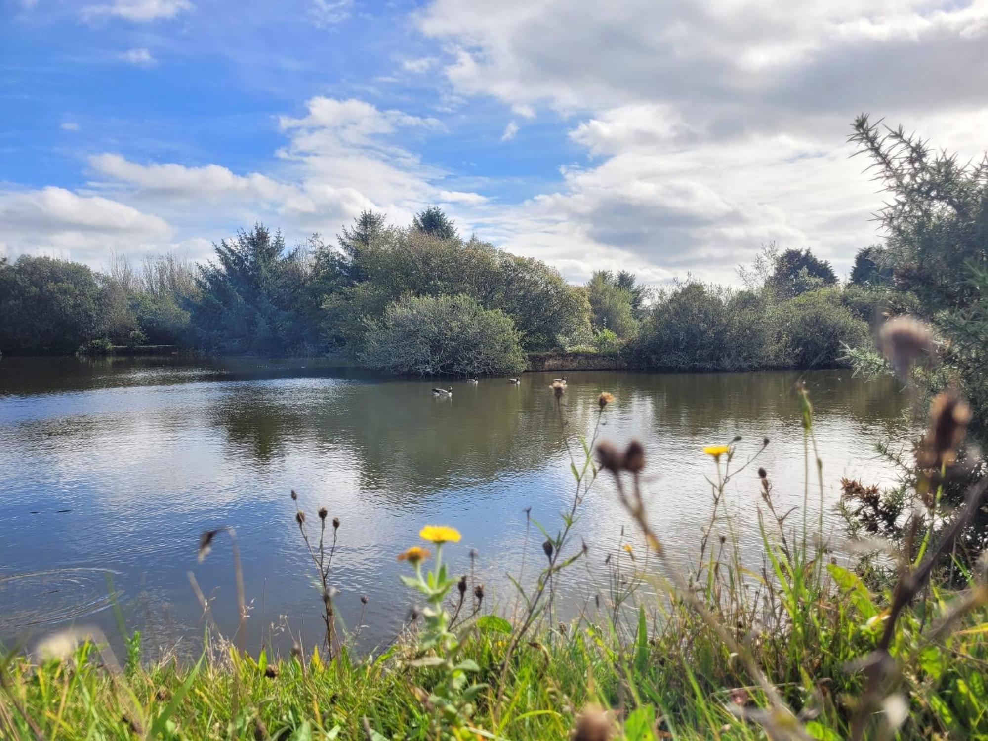 Lakeside Glamping Firecrest St Columb Major Eksteriør billede