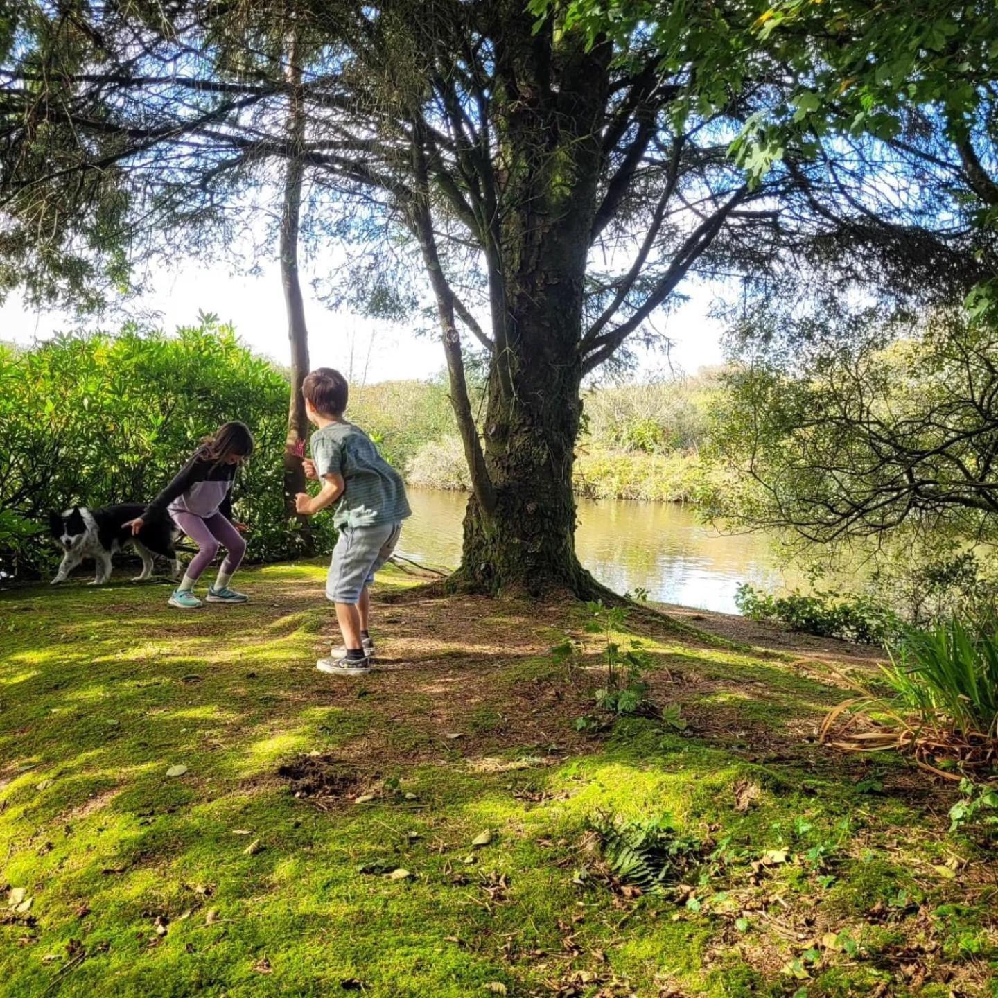 Lakeside Glamping Firecrest St Columb Major Eksteriør billede