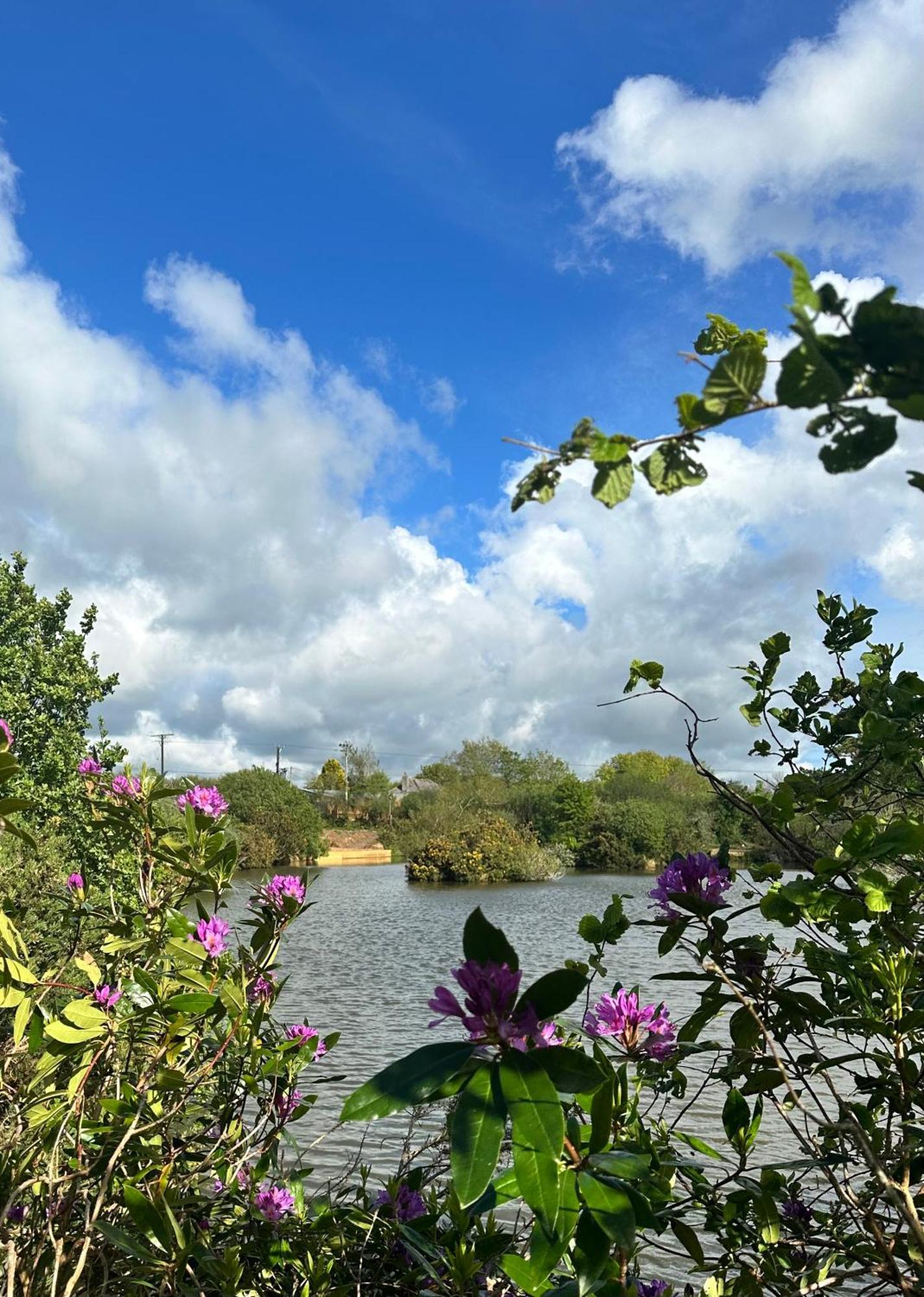 Lakeside Glamping Firecrest St Columb Major Eksteriør billede