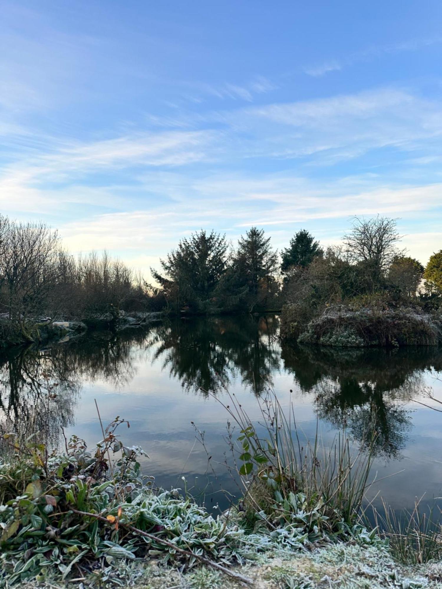 Lakeside Glamping Firecrest St Columb Major Eksteriør billede