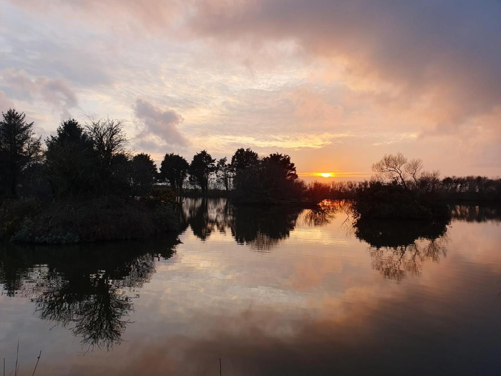 Lakeside Glamping Firecrest St Columb Major Eksteriør billede