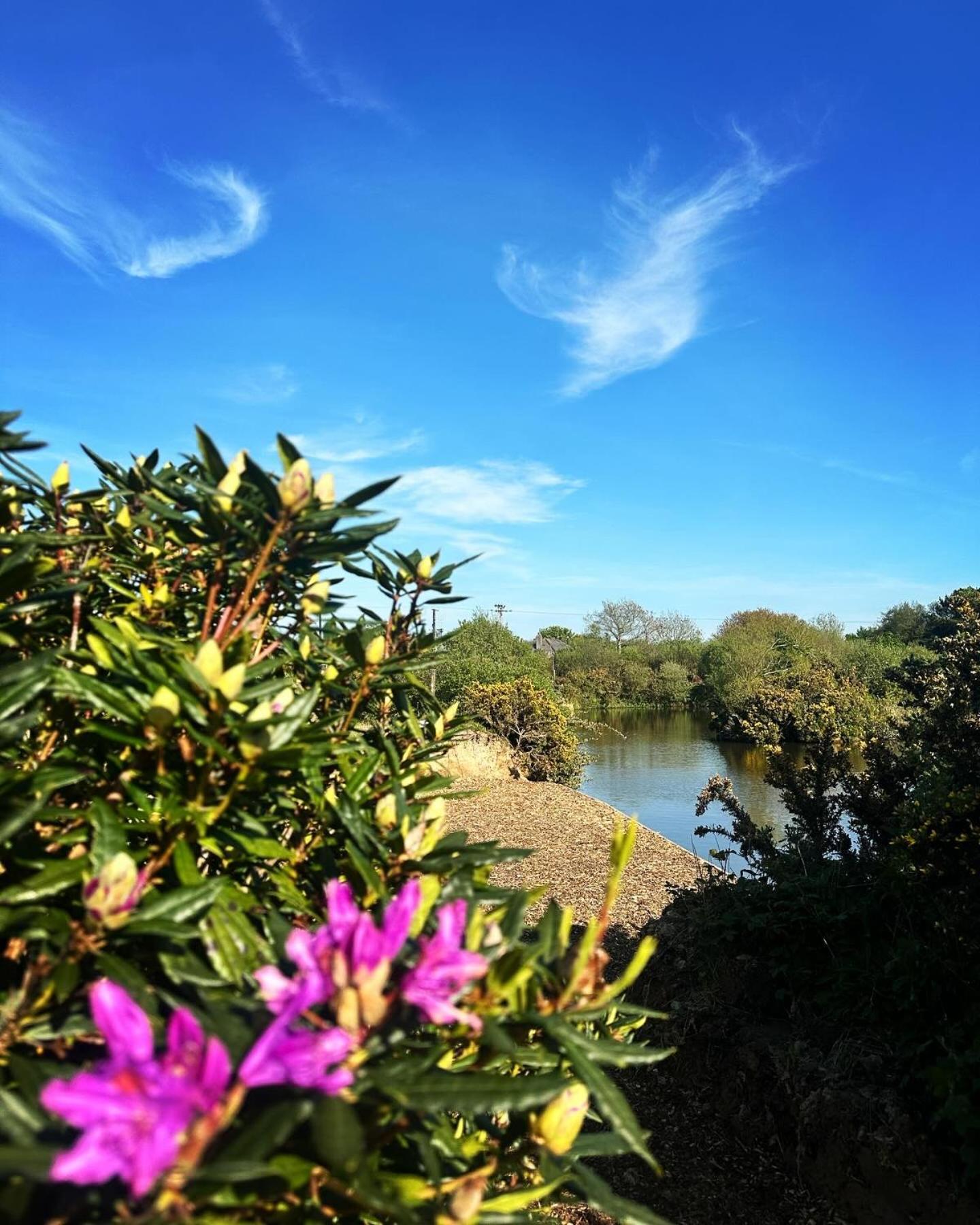 Lakeside Glamping Firecrest St Columb Major Eksteriør billede