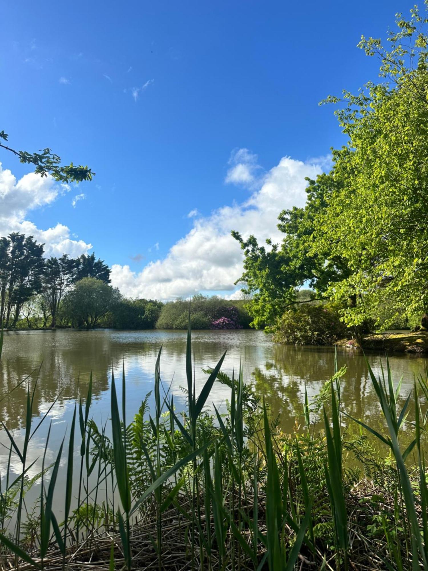 Lakeside Glamping Firecrest St Columb Major Eksteriør billede