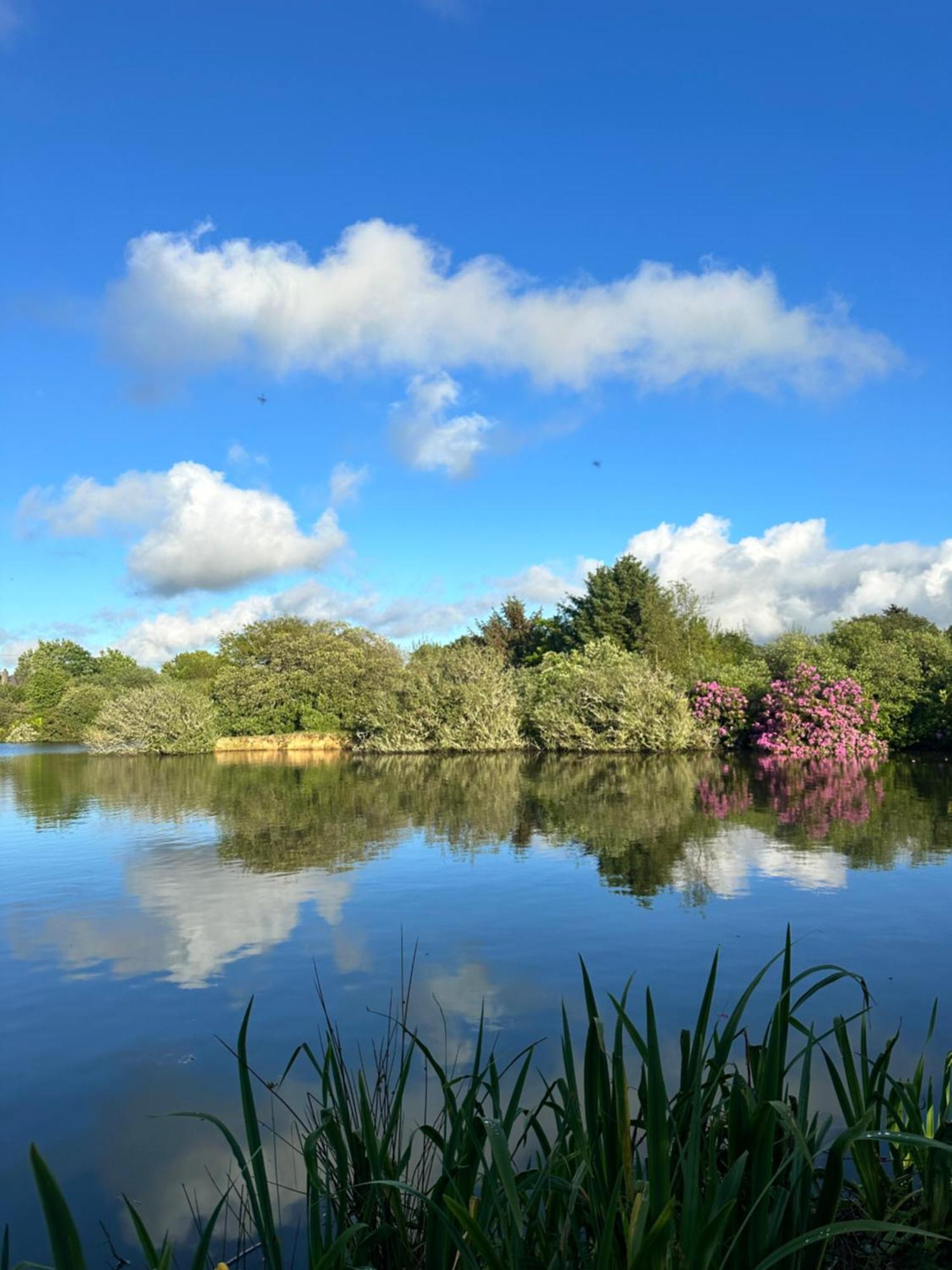 Lakeside Glamping Firecrest St Columb Major Eksteriør billede